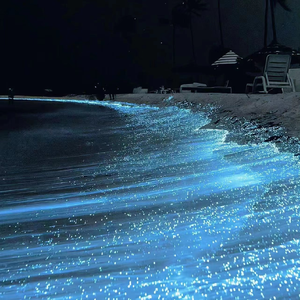 美女的肚子光溜溜的很好看
